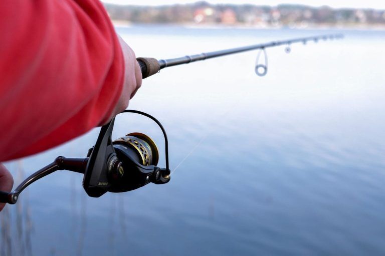 The Best Spinning Reel for Bass (Buyer's Guide for 2024)