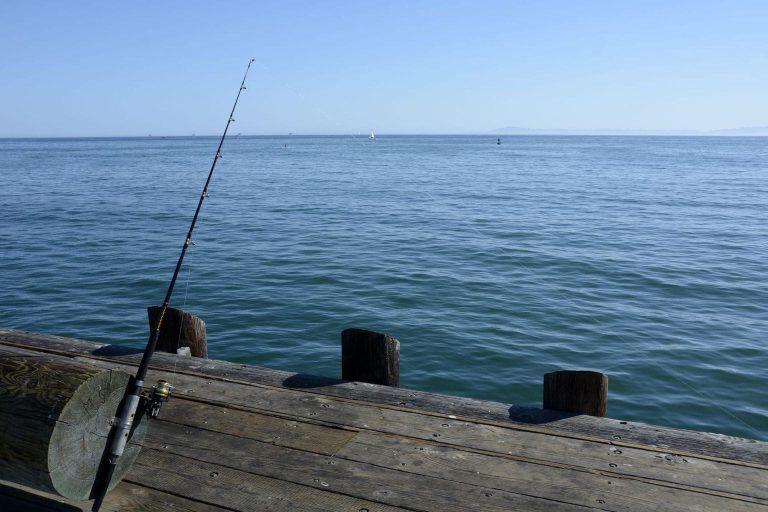 Pier Fishing Rigs  The Ultimate Guide (Tips for 2024)