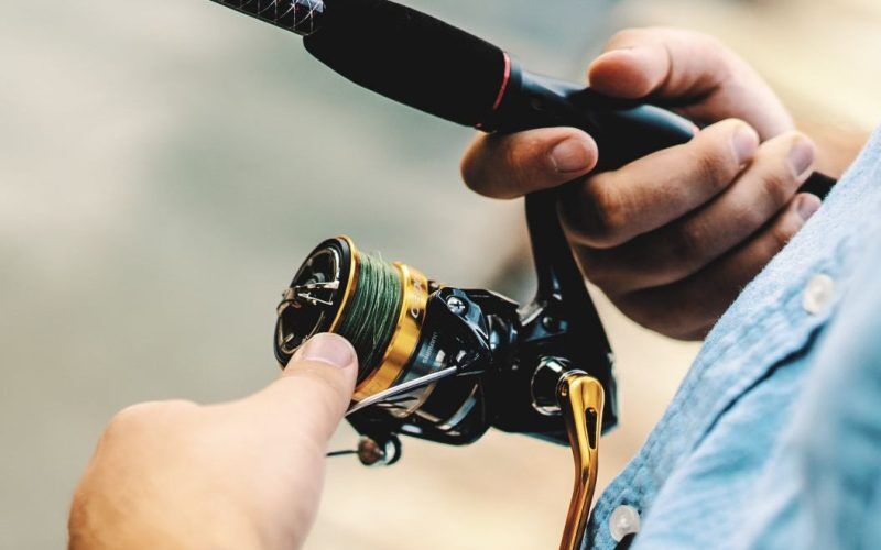 Top 7 Best Spinning Reels For The Money (2024 Buyer's Guide)