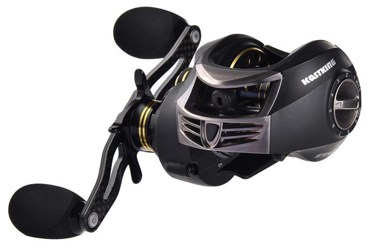 Top 7 Best Catfish Reels of 2024 (Detailed Buyer's Guide)