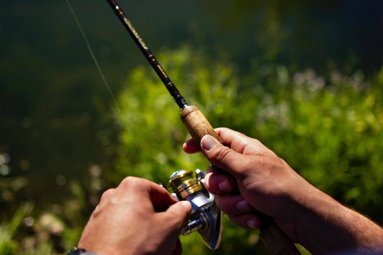 Top 8 Best Inshore Spinning Rods Review (2024 Buyer's Guide)