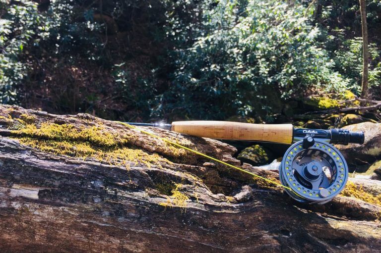 The Best 9wt Fly Rod (2024 Buyer's Guide)