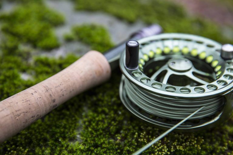 Best 8 Weight Fly Rod Reviewed and Compared (2024 Buyer's Guide)