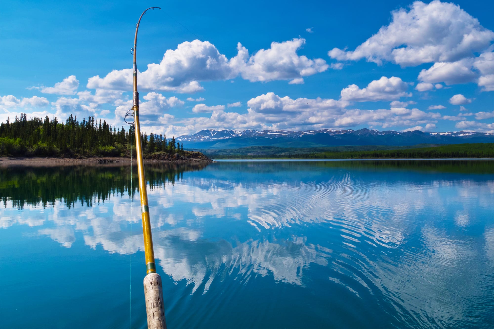 Using A Fishing Rod At A Lake 
