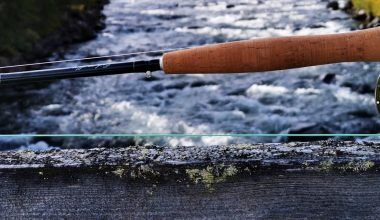 Best Fly Fishing Quotes For Inspiration (2024)