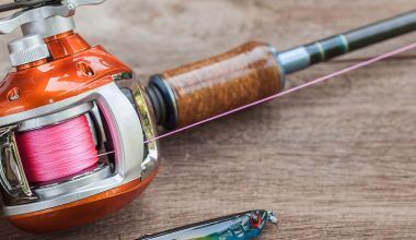 Top 7 Best Catfish Reels of 2024 (Detailed Buyer's Guide)