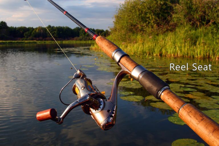 Fishing Rod 101: Parts of a Fishing Rod Explained (2024 Guide)