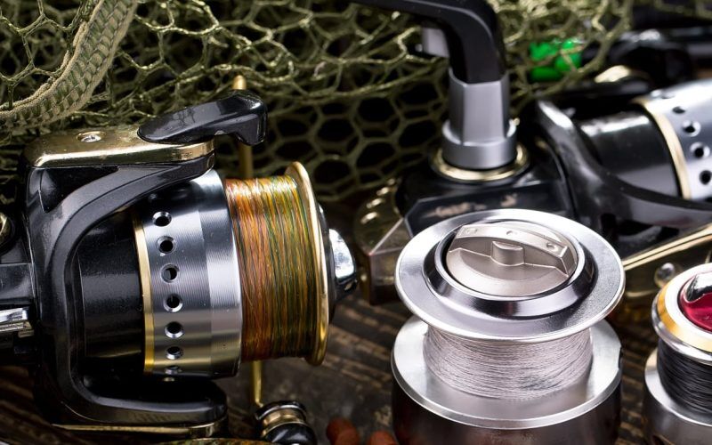 Spinning Reel Sizes 101: Choosing the Right Spinning Reel Size (2024)