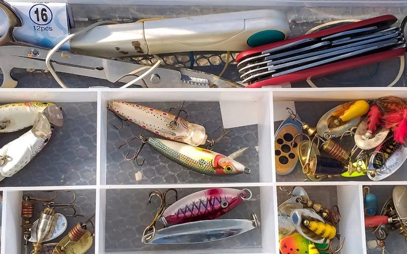 Trout Fishing Rigs Setup 101: The Best Trout Rigs To Use